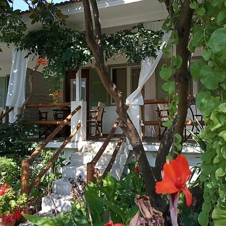 Stamatia'S Garden Hotel Agnontas Luaran gambar
