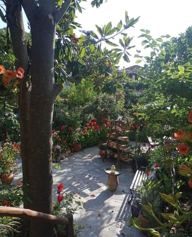 Stamatia'S Garden Hotel Agnontas Luaran gambar