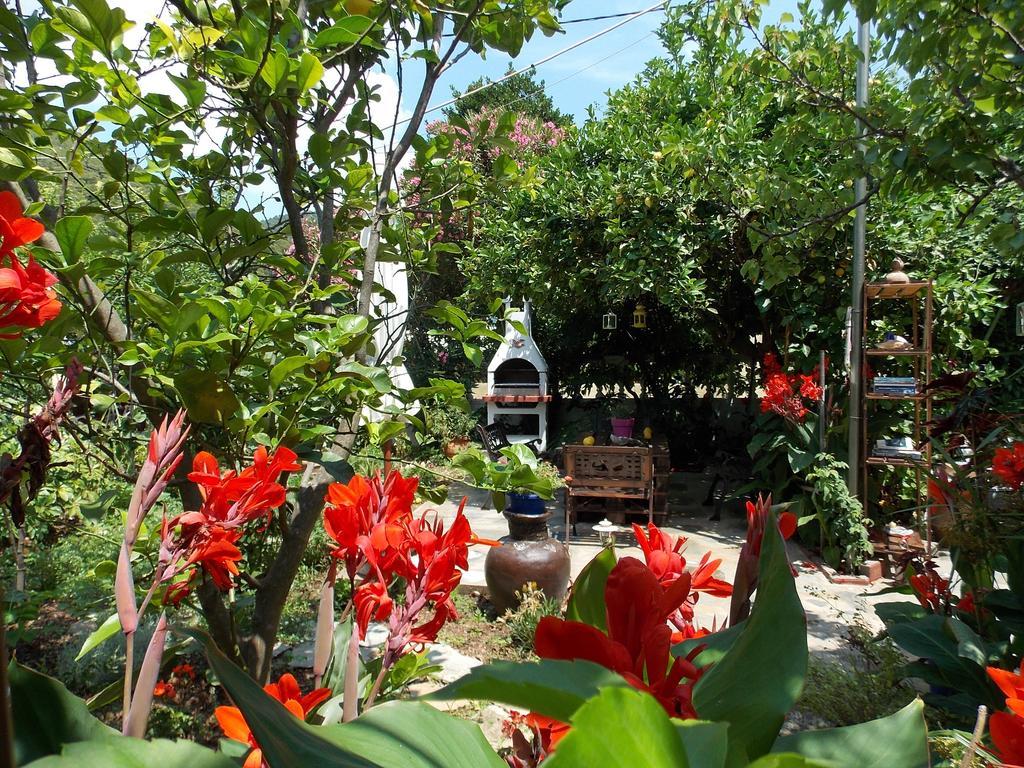 Stamatia'S Garden Hotel Agnontas Luaran gambar