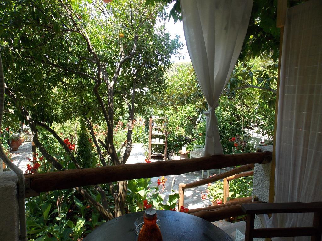 Stamatia'S Garden Hotel Agnontas Luaran gambar