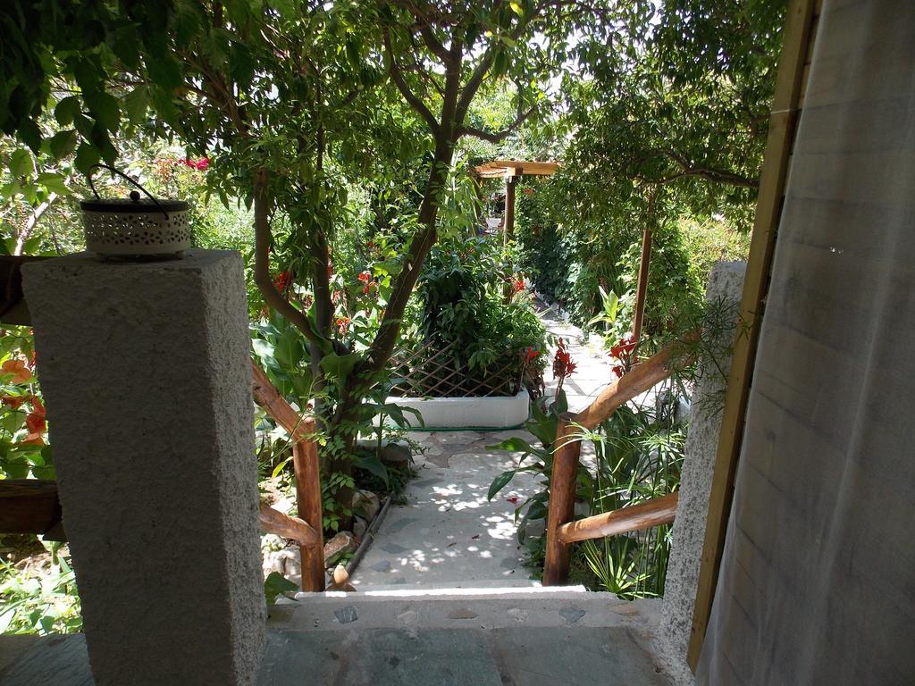 Stamatia'S Garden Hotel Agnontas Luaran gambar