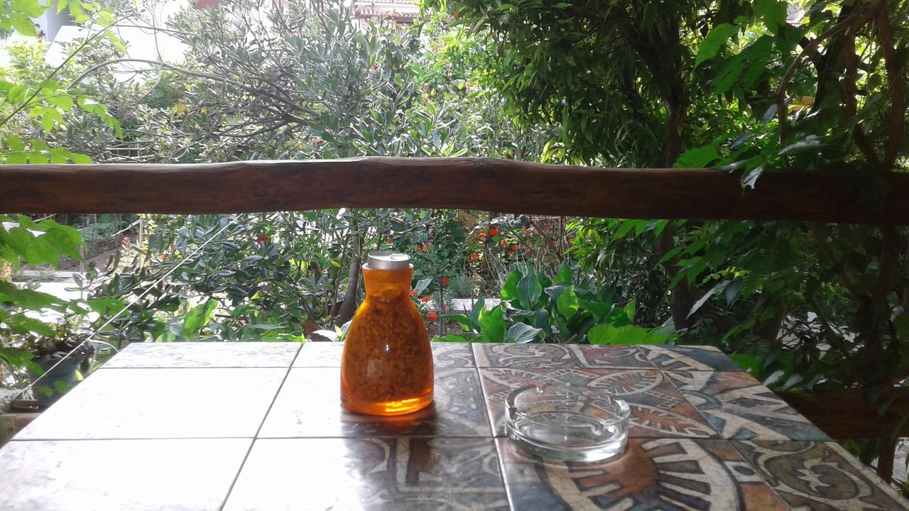 Stamatia'S Garden Hotel Agnontas Luaran gambar