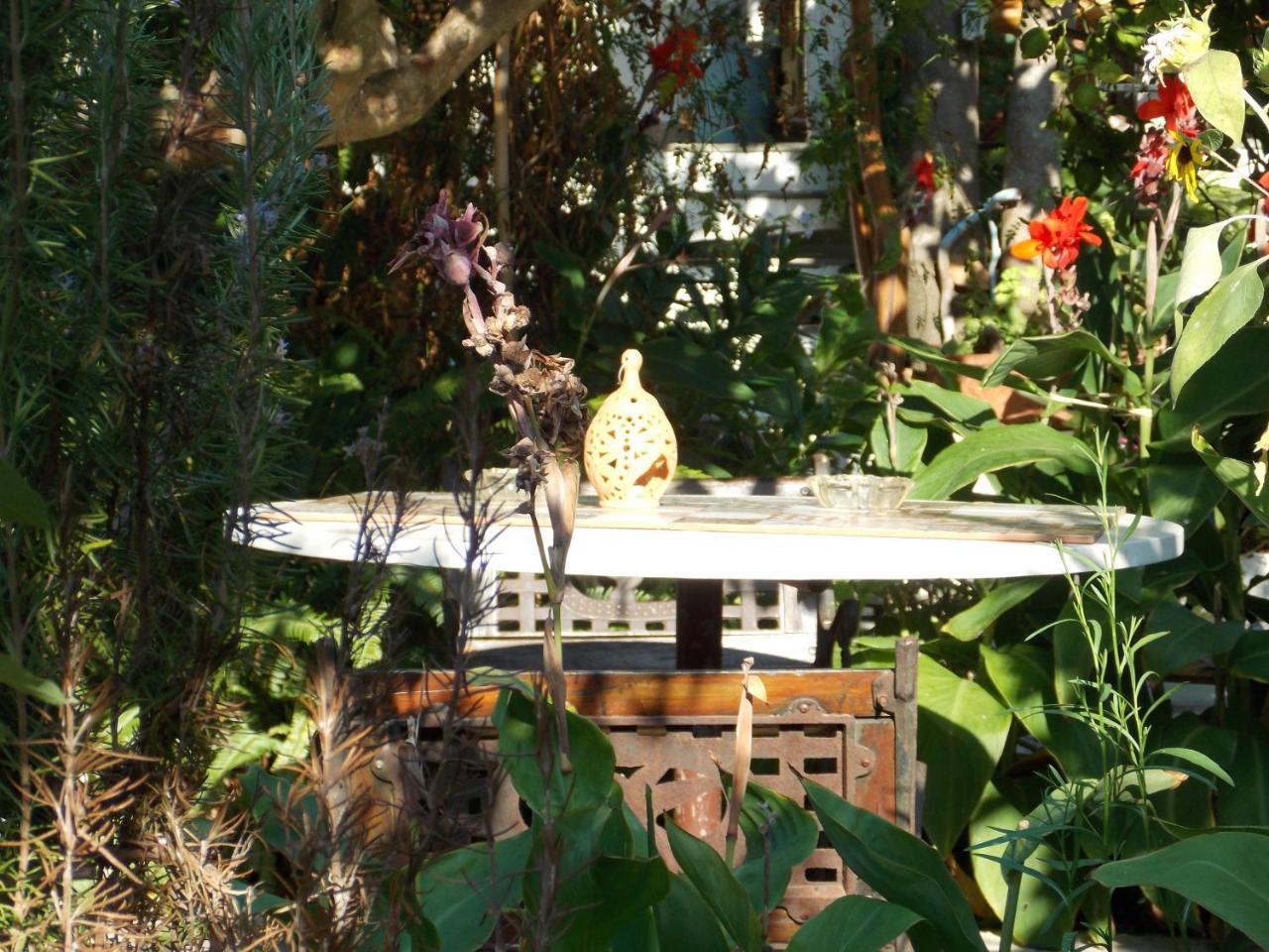 Stamatia'S Garden Hotel Agnontas Luaran gambar