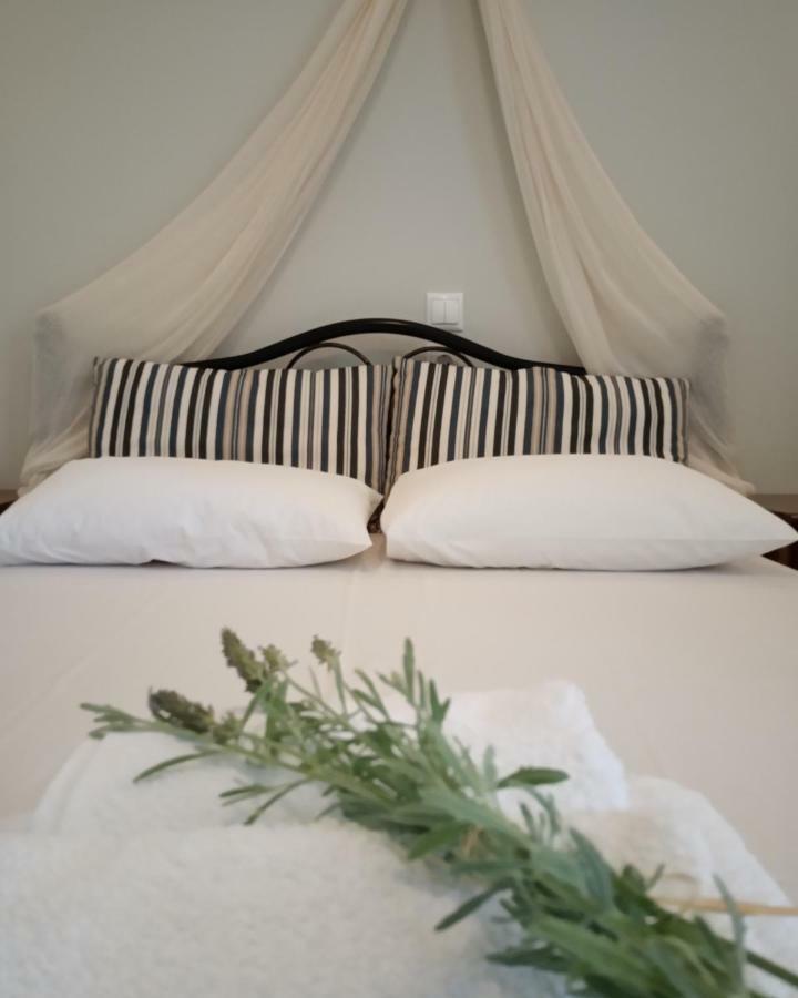 Stamatia'S Garden Hotel Agnontas Luaran gambar