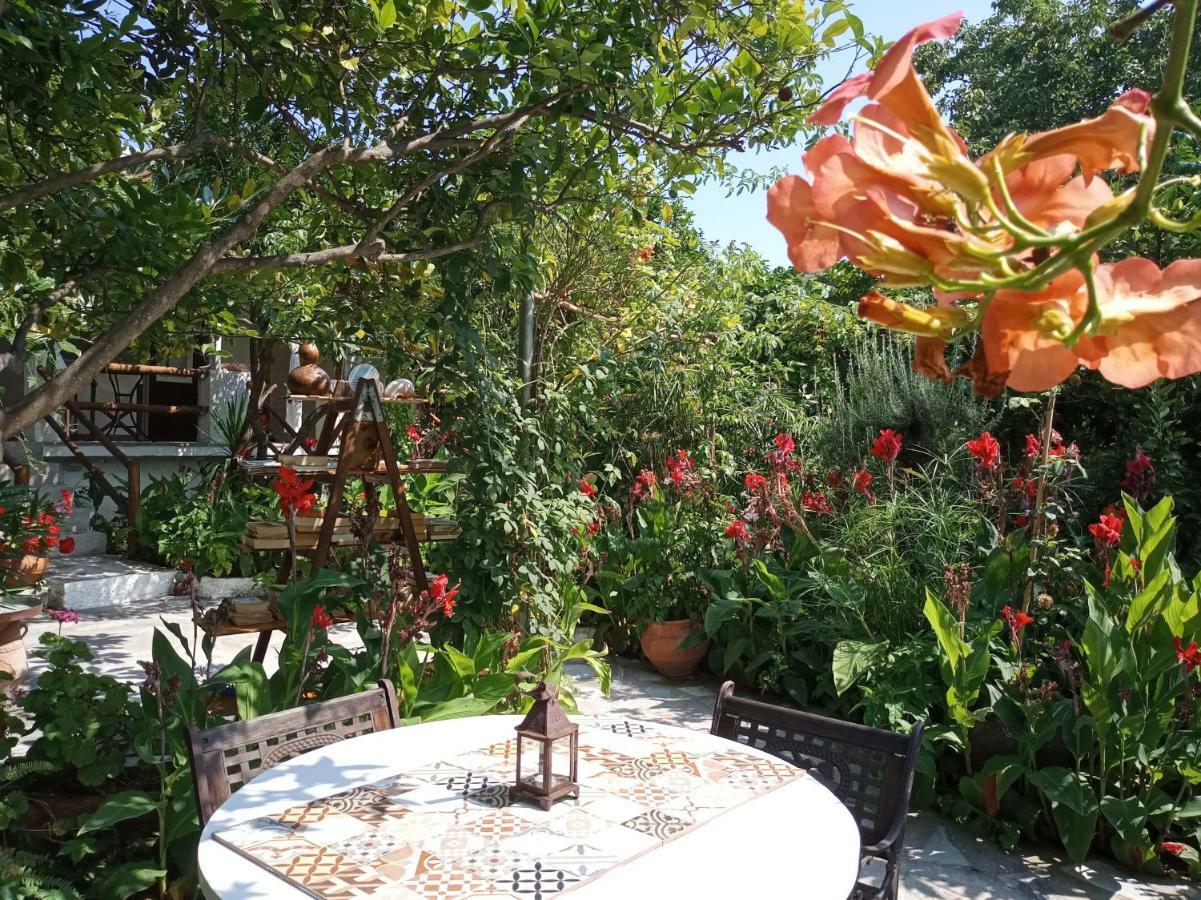 Stamatia'S Garden Hotel Agnontas Luaran gambar