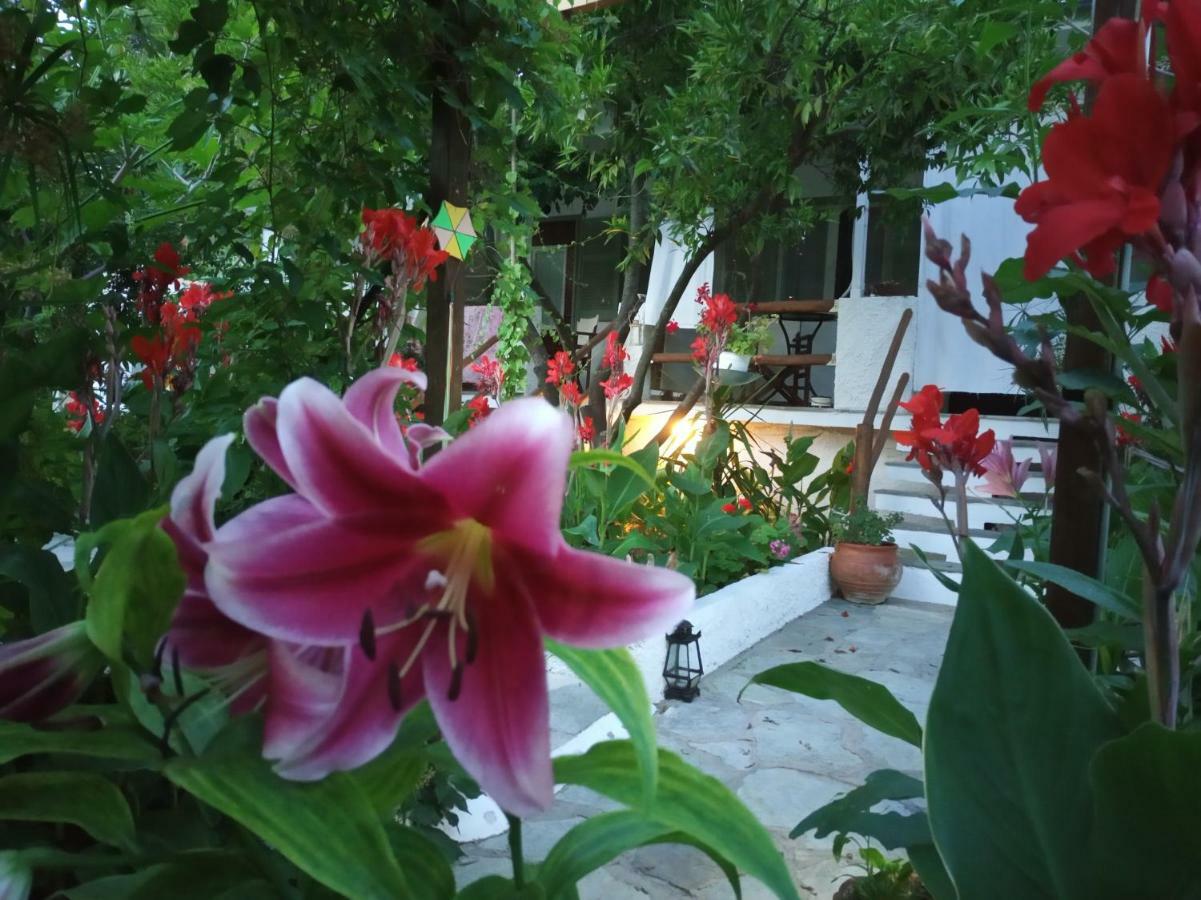 Stamatia'S Garden Hotel Agnontas Luaran gambar