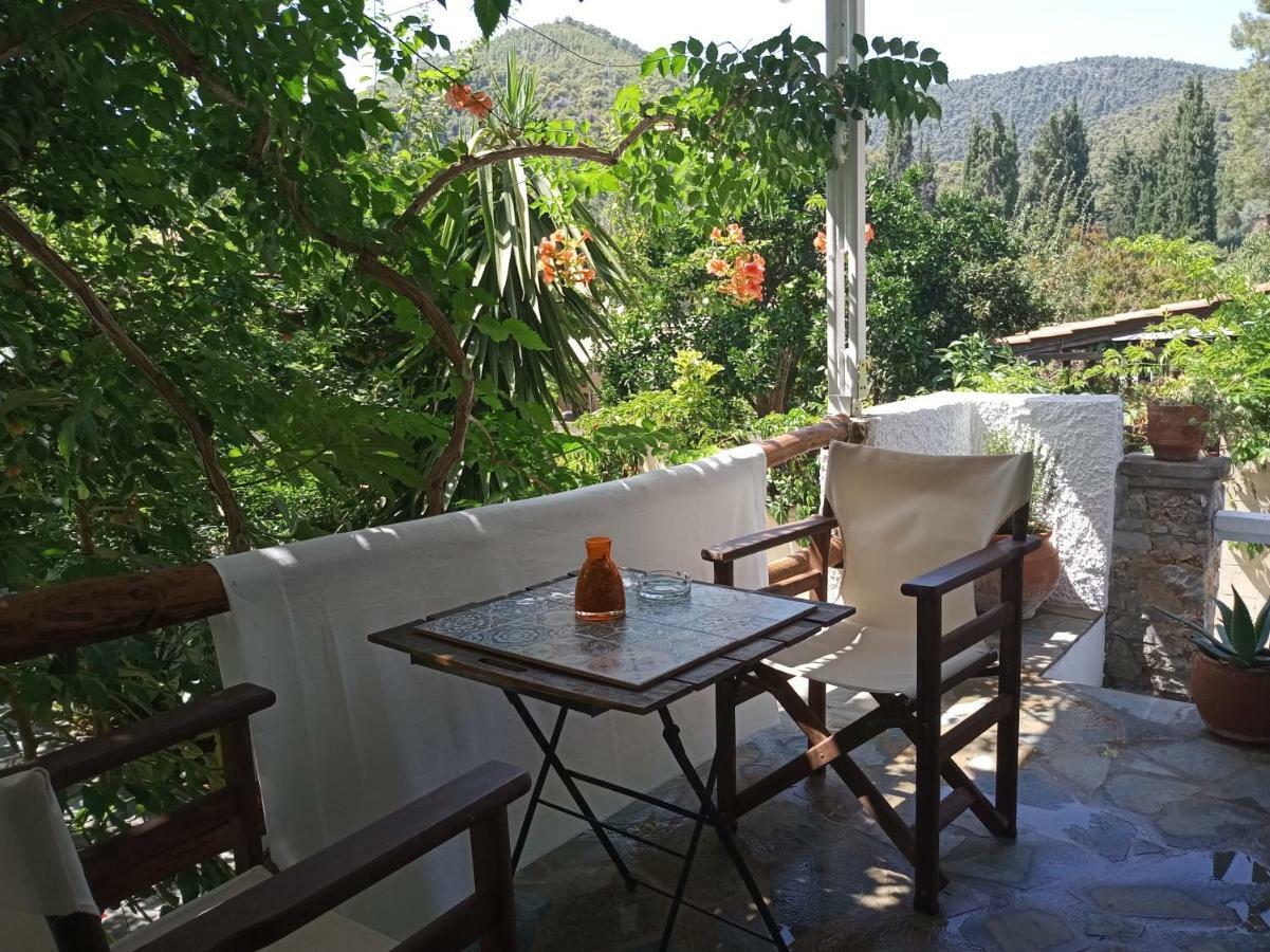 Stamatia'S Garden Hotel Agnontas Luaran gambar